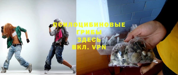 гидра Балахна